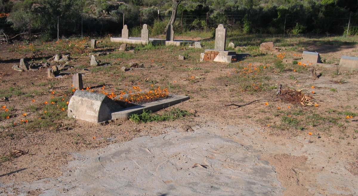 2. Overview