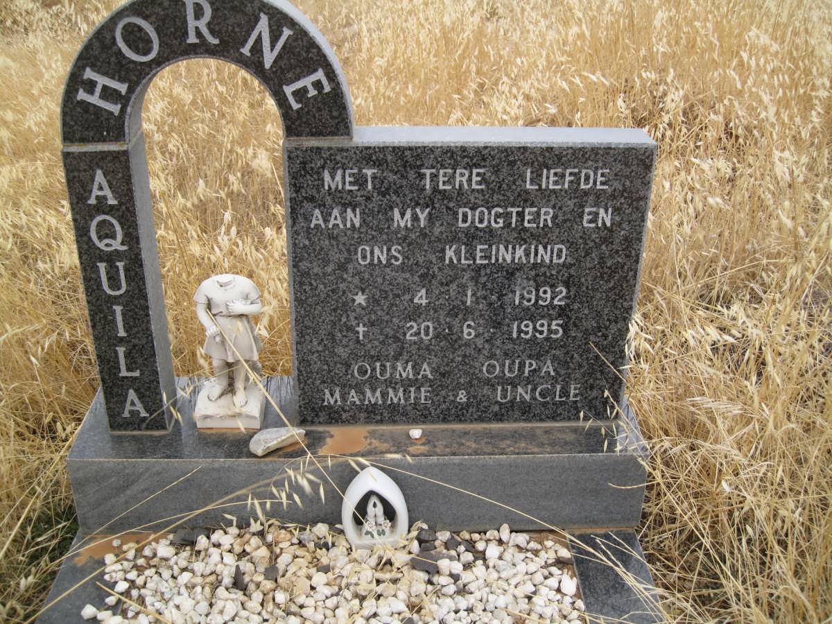 HORNE Aquila 1992-1995