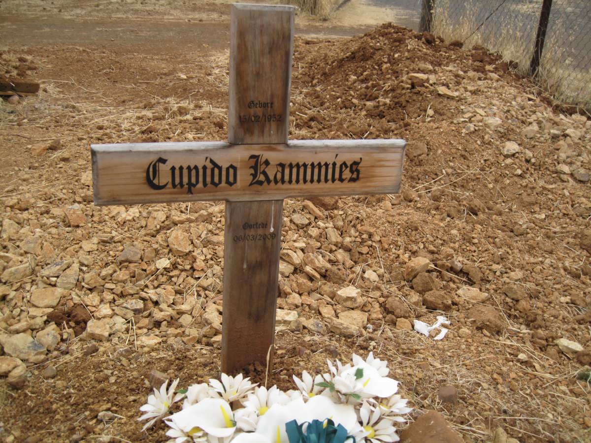 KAMMIES Cupido 1952-2009