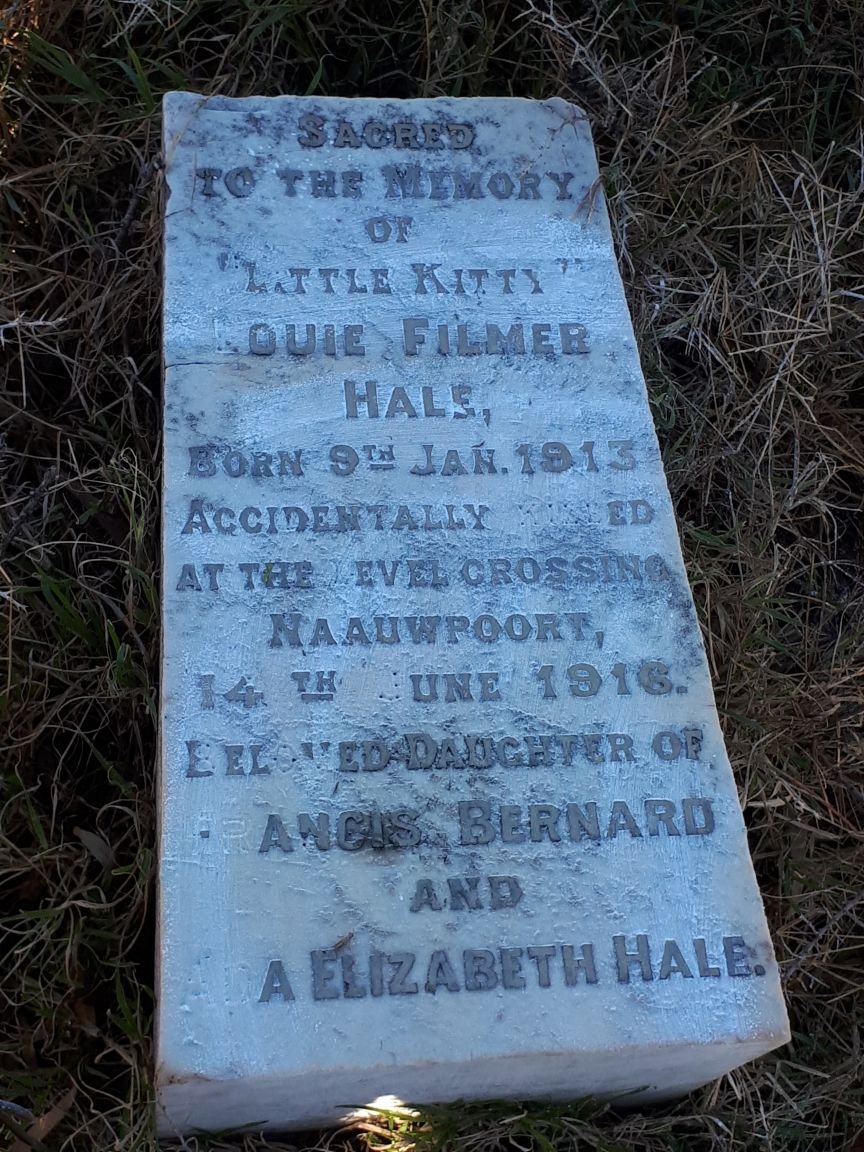 HALE Louie Filmer 1913-1916