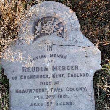 MERCER Reuben -1901