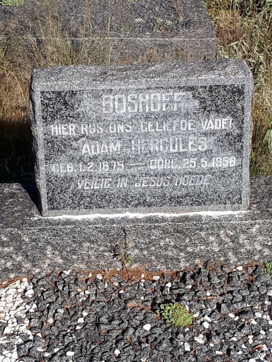 BOSHOFF Adam Hercules 1875-1956