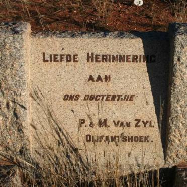 ZYL, van girl