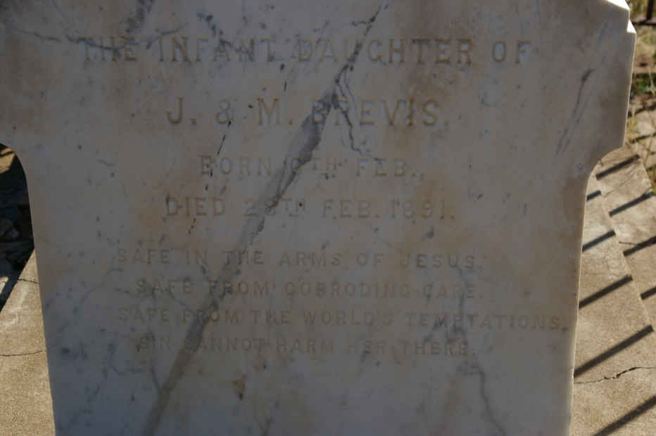 BREVIS Maria J. nee VISSER -1899 :: BREVIS 1891-1891