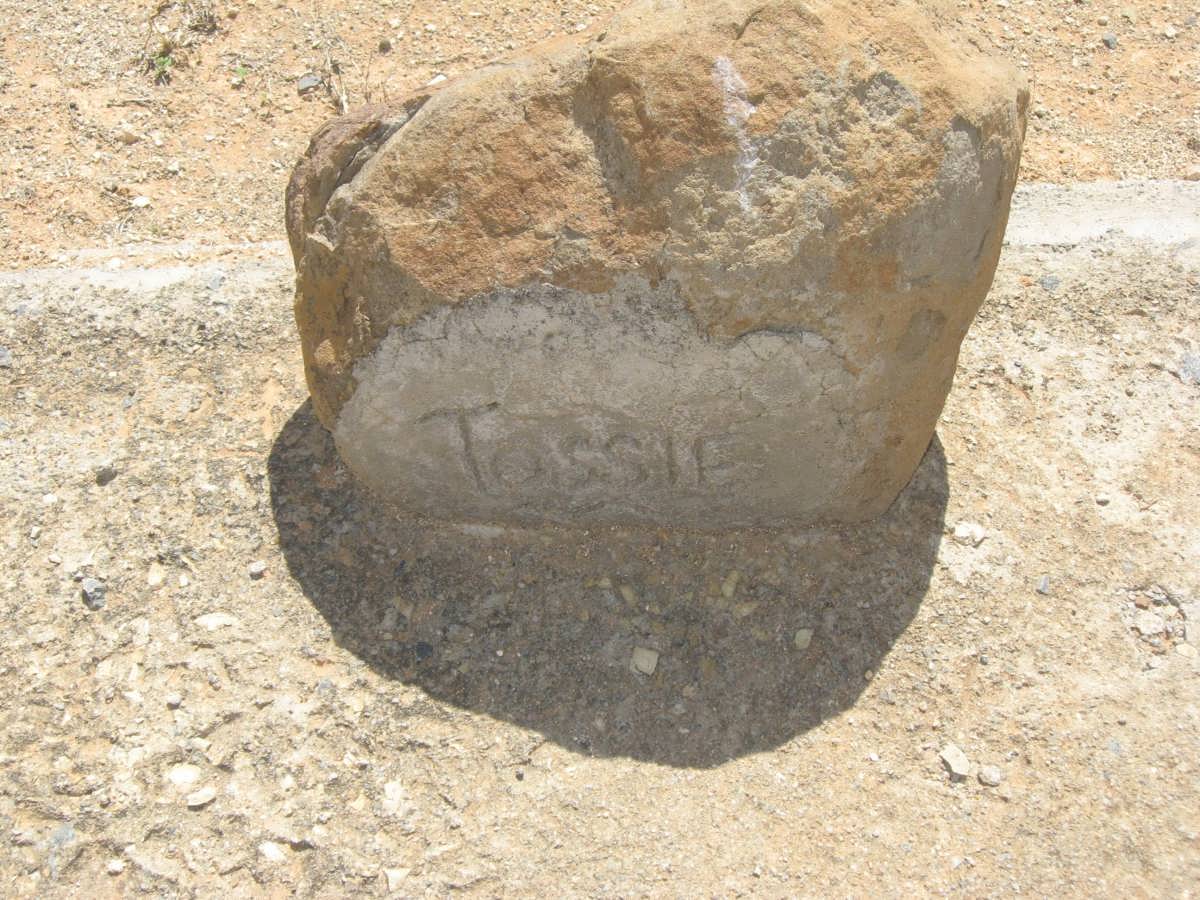 ? Tossie