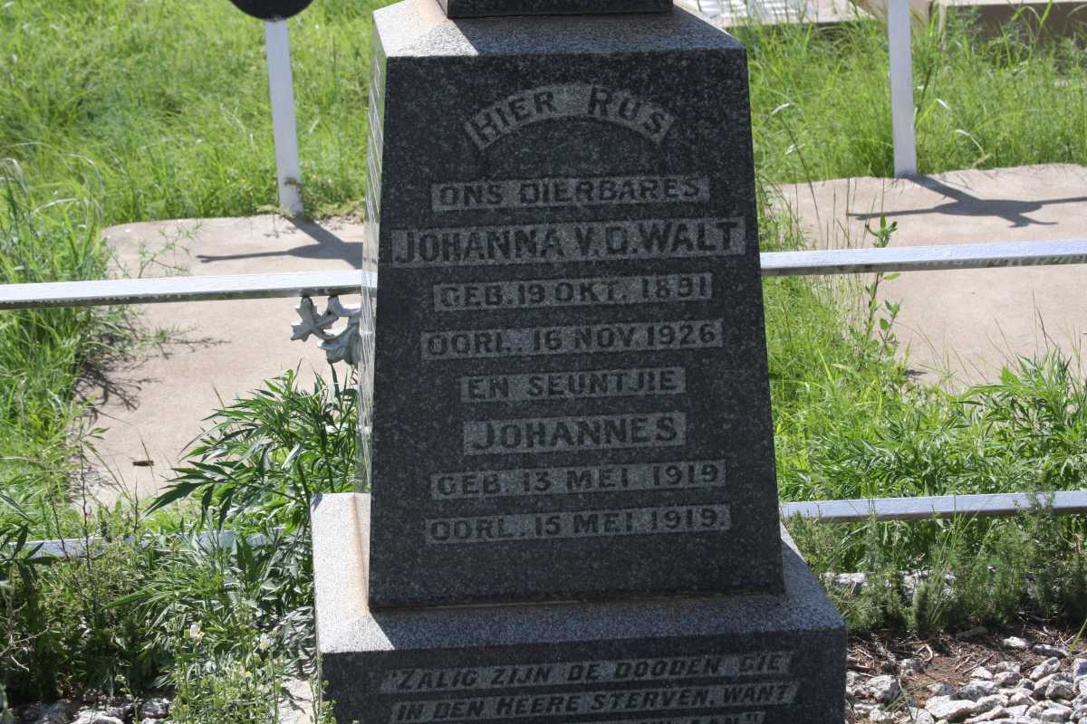 WALT Johanna, v.d. 1891-1926 :: V.D. WALT Johannes 1919-1919 