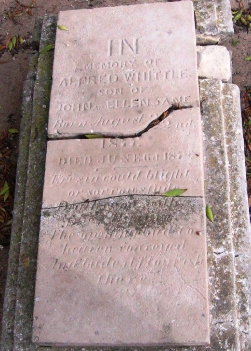 WHITTLE Alfred 1877-1878