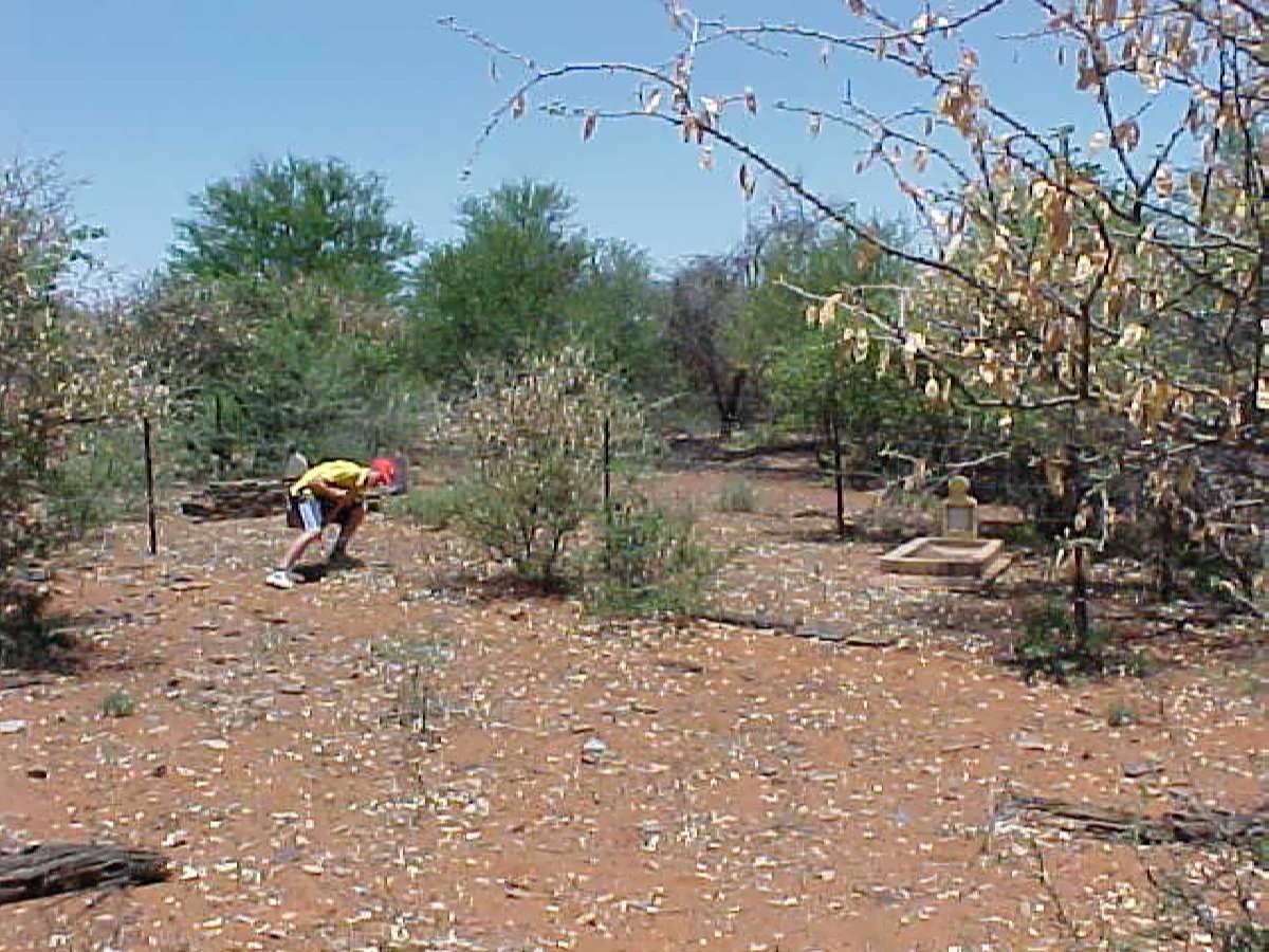 1. Overview