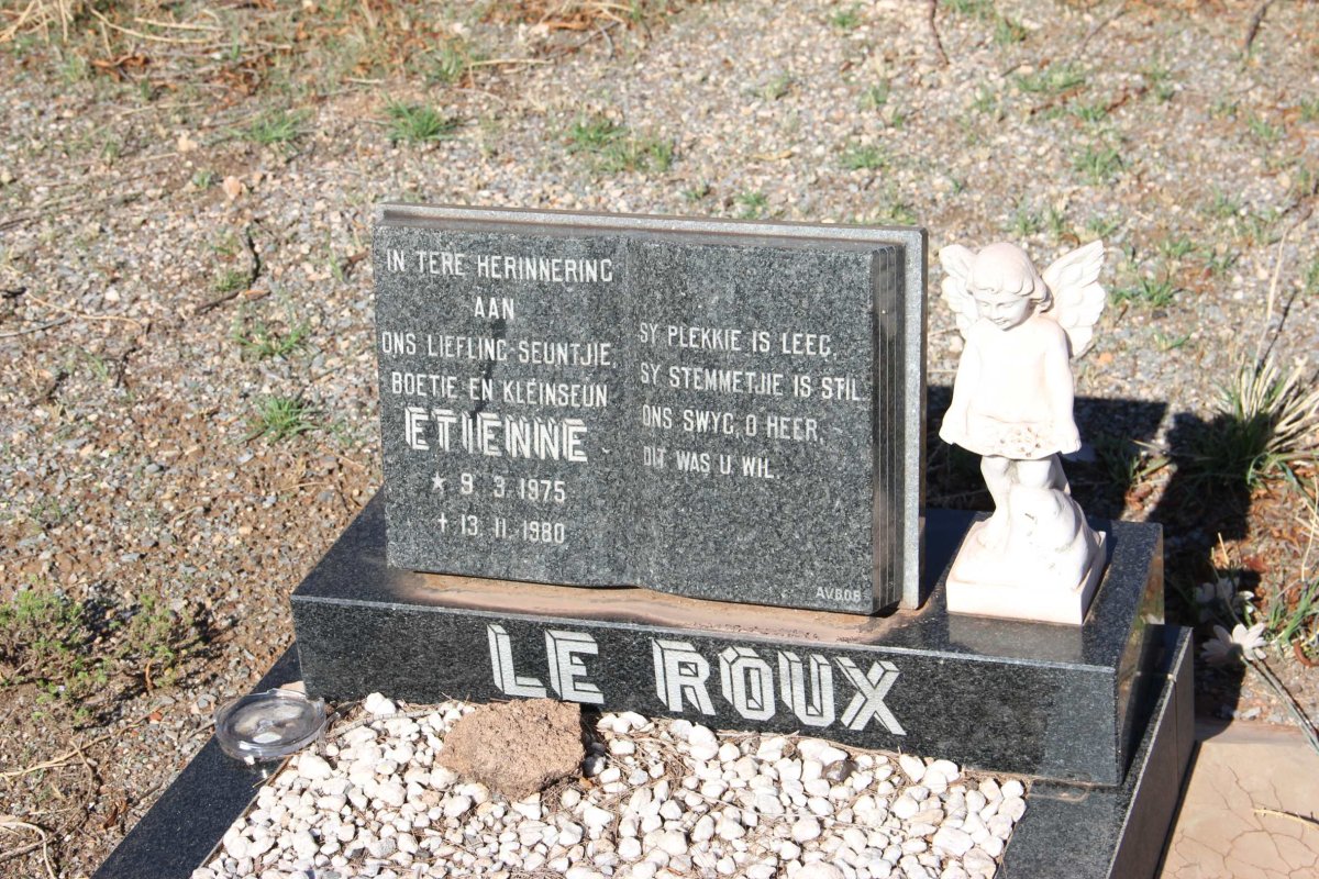 ROUX Etienne, le 1975-1980