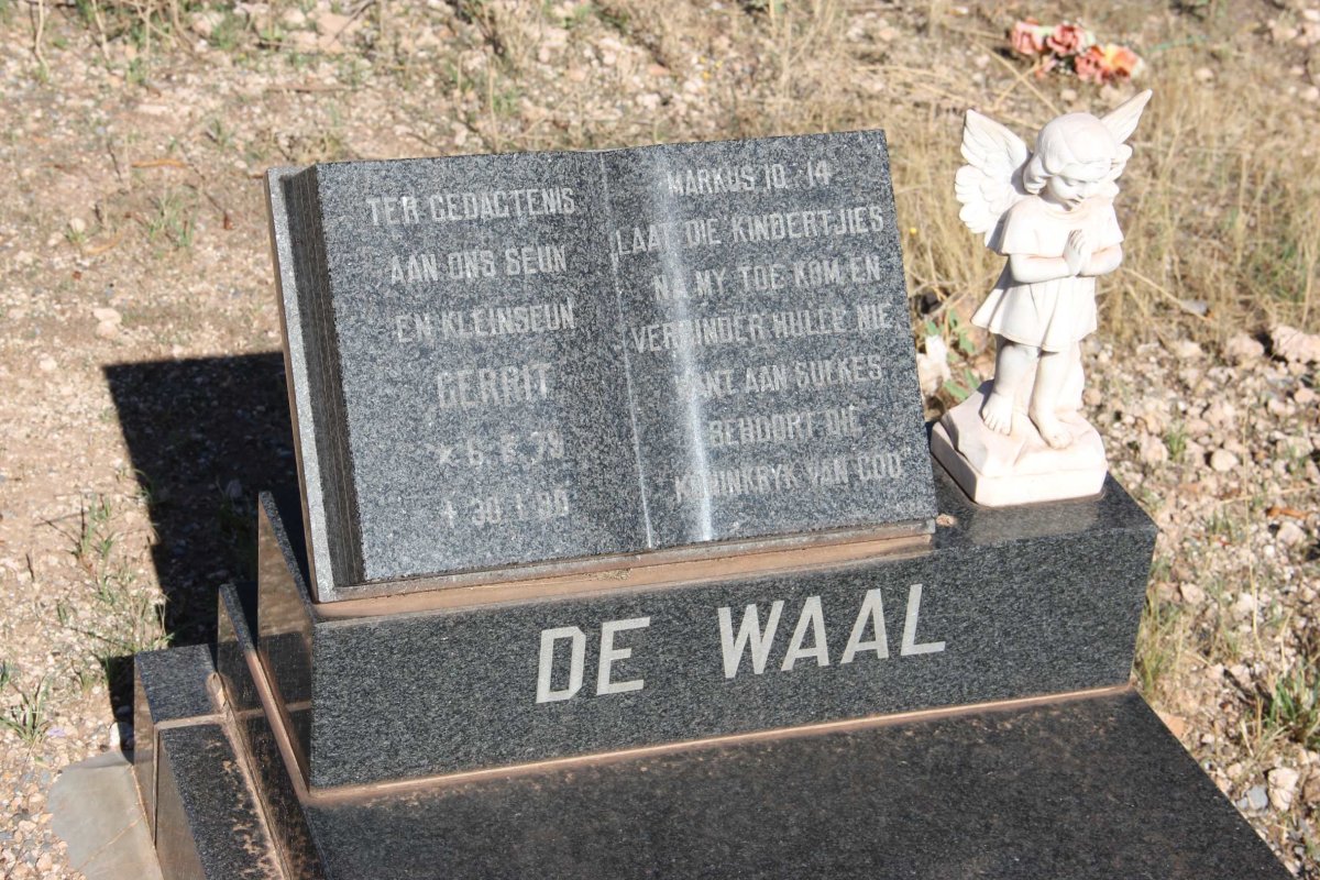 WAAL Gerrit, de 1979-1990