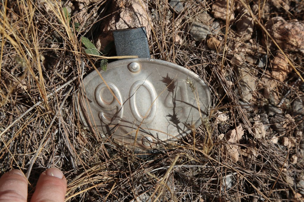 ?