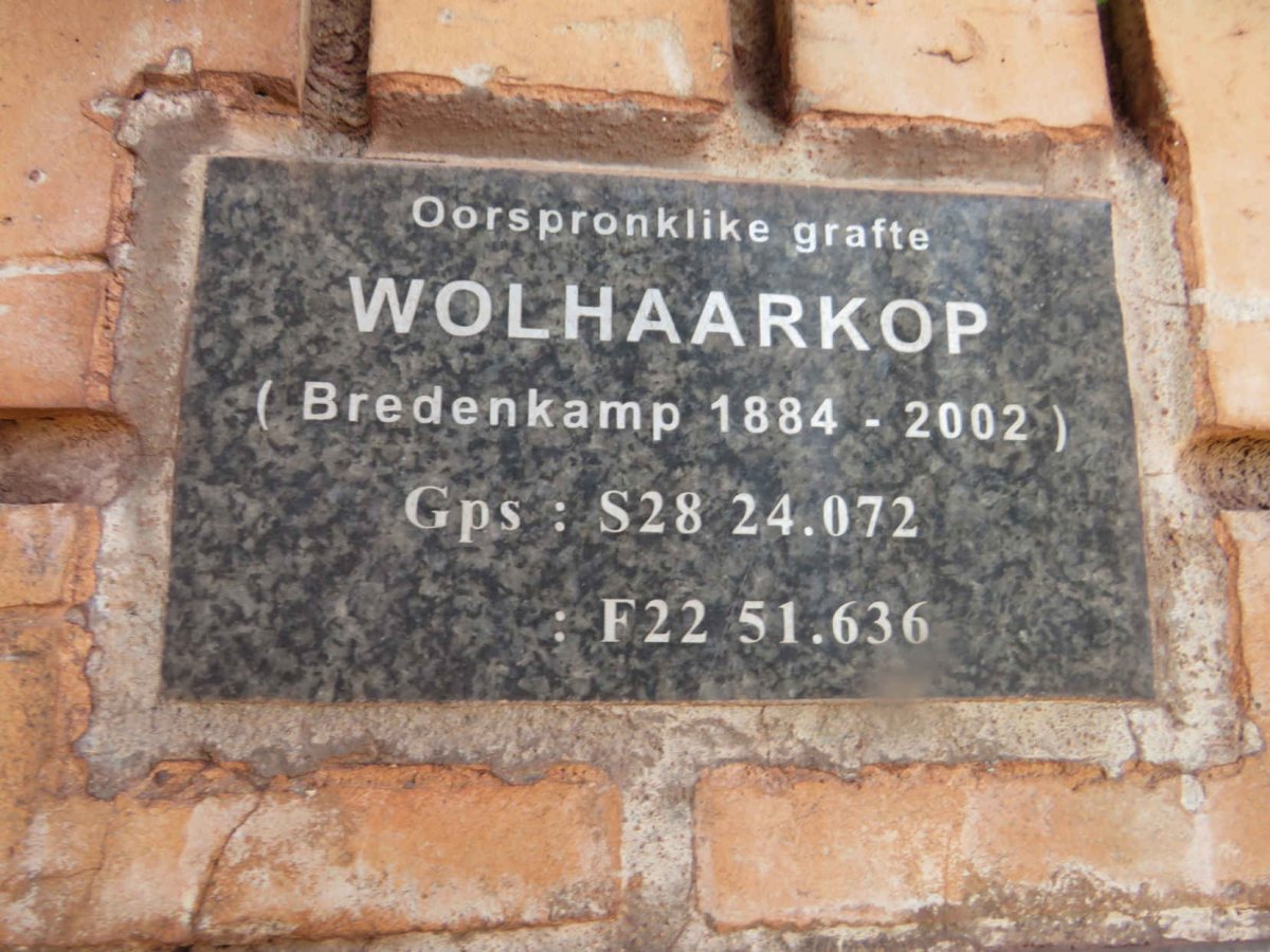 3. Overview / Oorsig - Wolhaarkop, oorspronklike BREDENKAMP grafte