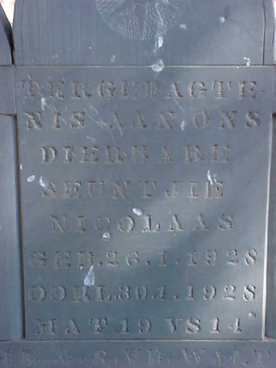 WALT Nicolaas, van der 1928-1928
