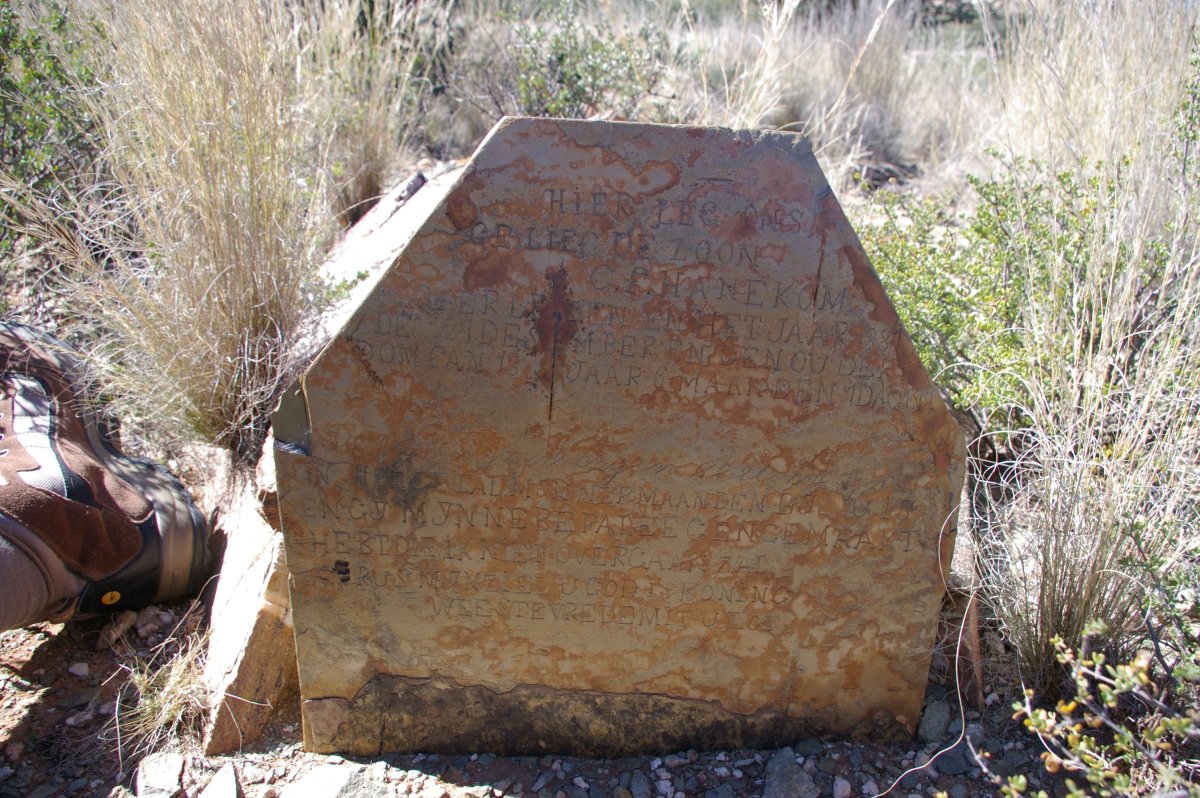HANEKOM C.F. -1881