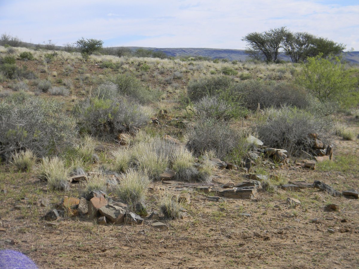 ? Unmarked Graves