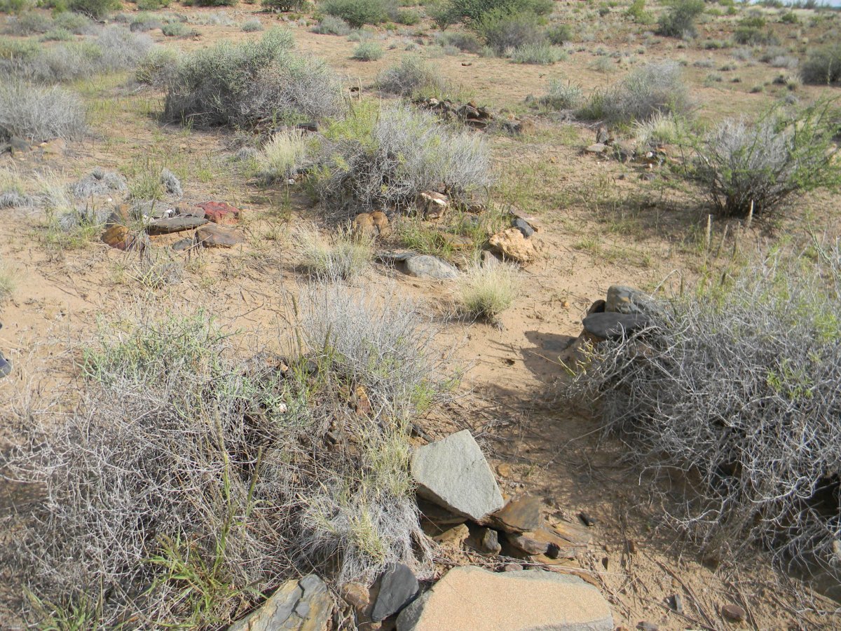 ? Unmarked Graves