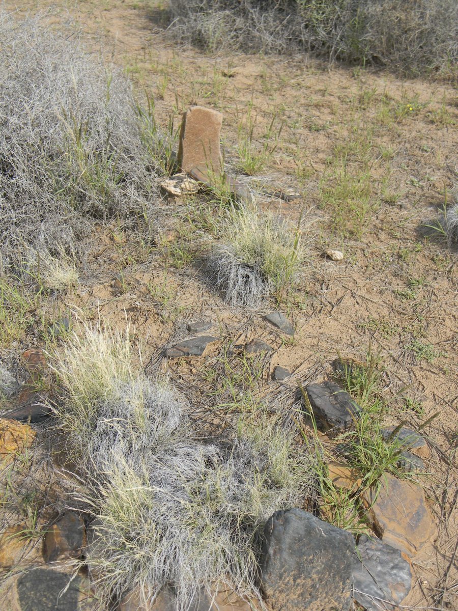 ? Unmarked Graves