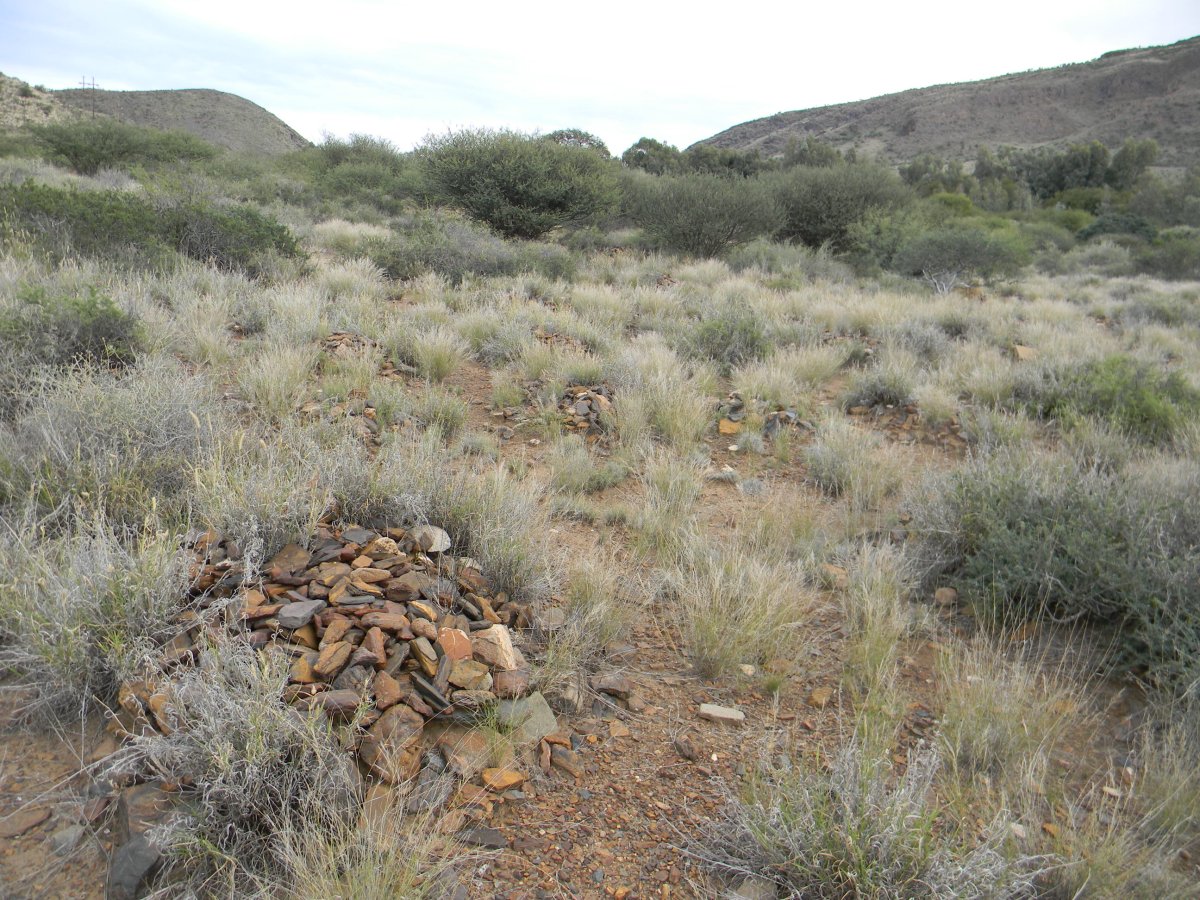 ? Unmarked Grave