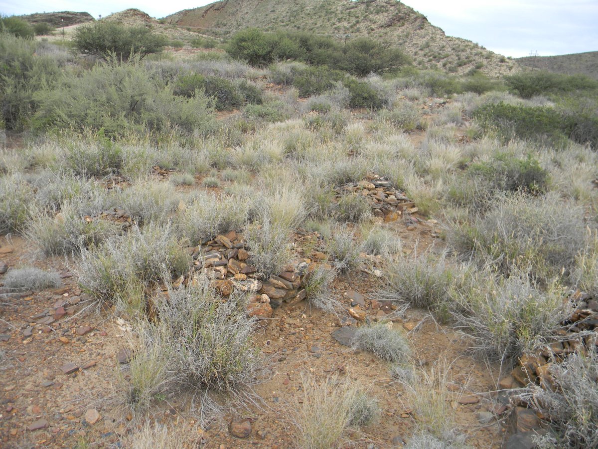 ? Unmarked Grave