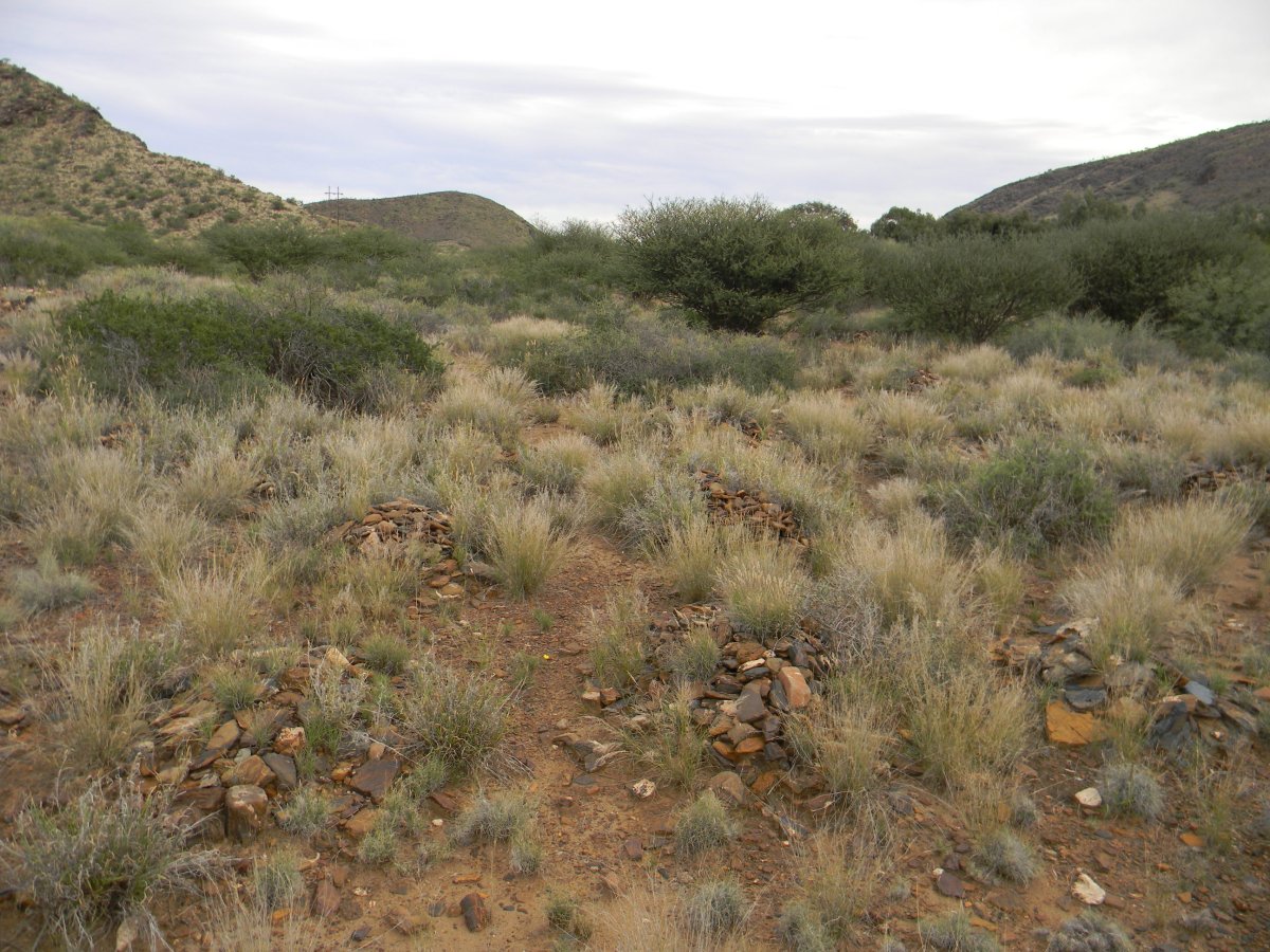 ? Unmarked Grave