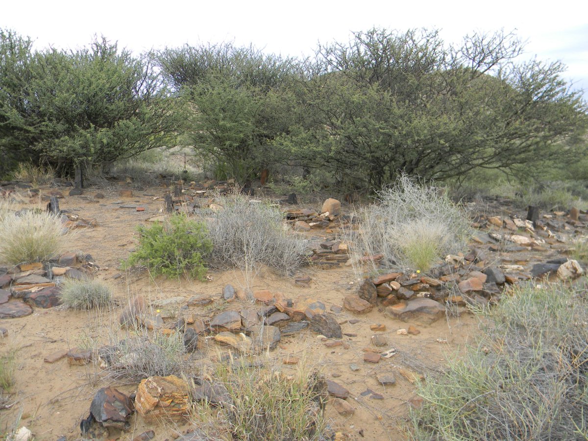 ? Unmarked Grave