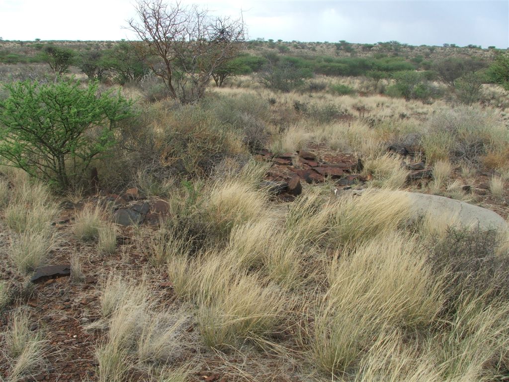 2. Overview on gravesite