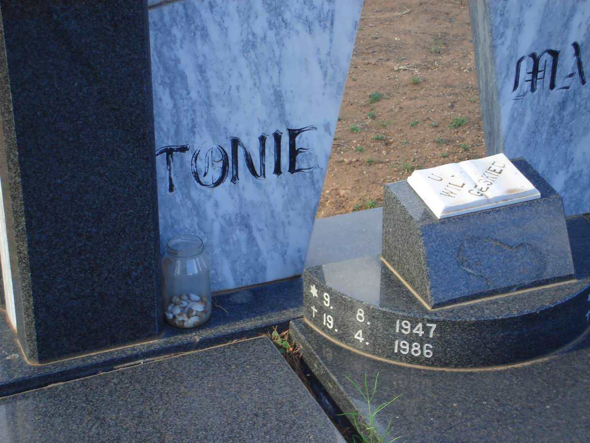 BOTES Tonie 1947-1986