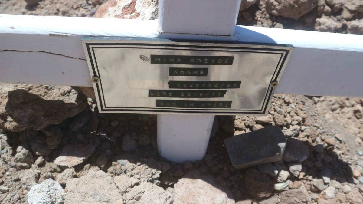 ADAMS Mina Koekoe 1980-2019