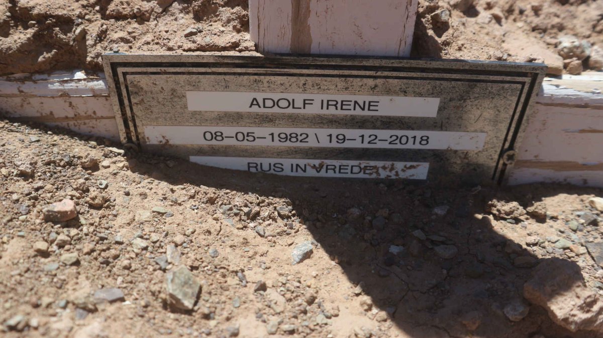 ADOLF Irene 1982-2018