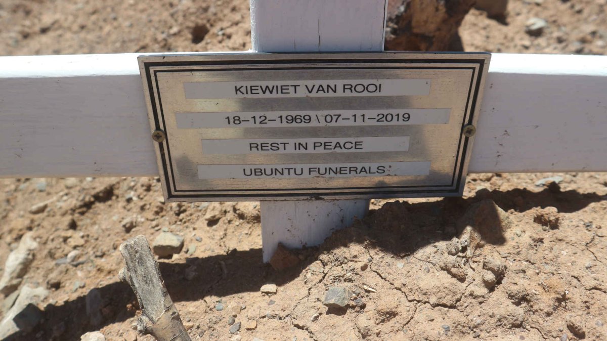 ROOI Kiewiet, van 1969-2019