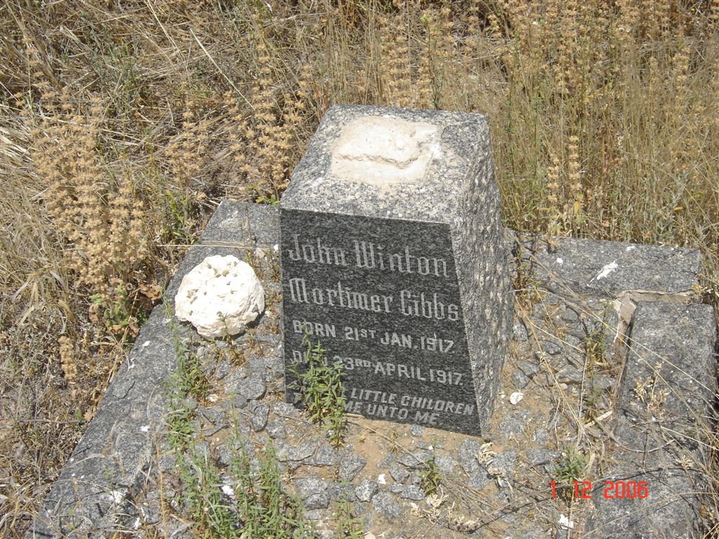 GIBBS John Winton Mortimer 1917-1917