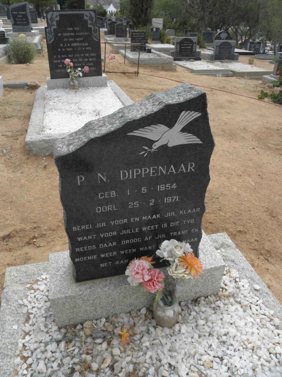 DIPPENAAR P.N. 1954-1971