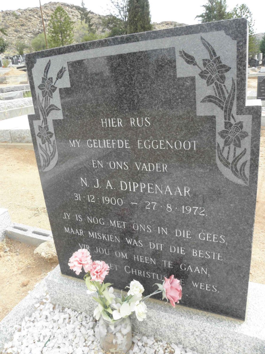 DIPPENAAR N.J.A. 1900-1972