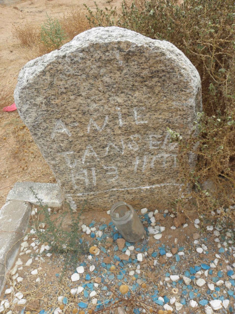 JANSEN Anle 1913-?
