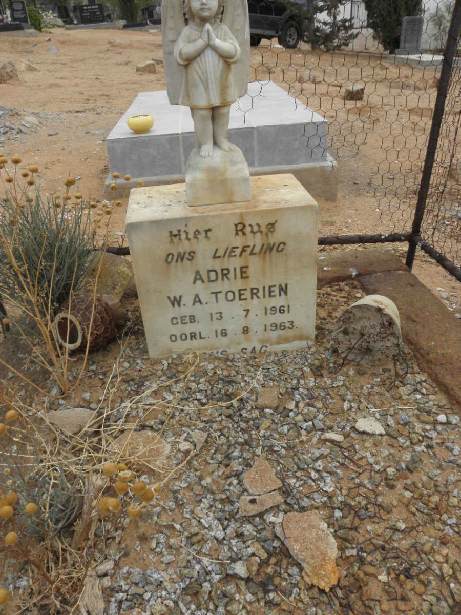 TOERIEN Adrie W.A. 1961-1963