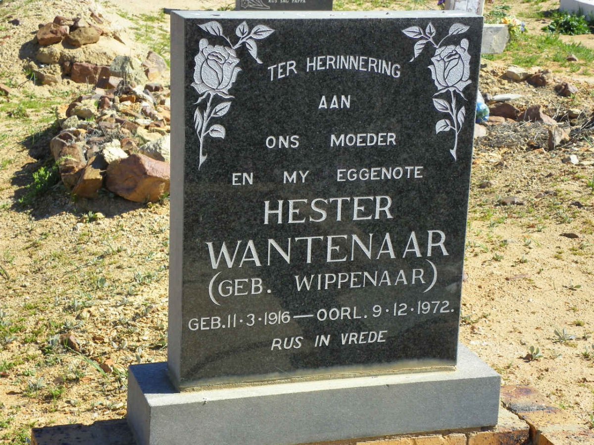 WANTENAAR Hester nee WIPPENAAR 1916-1972