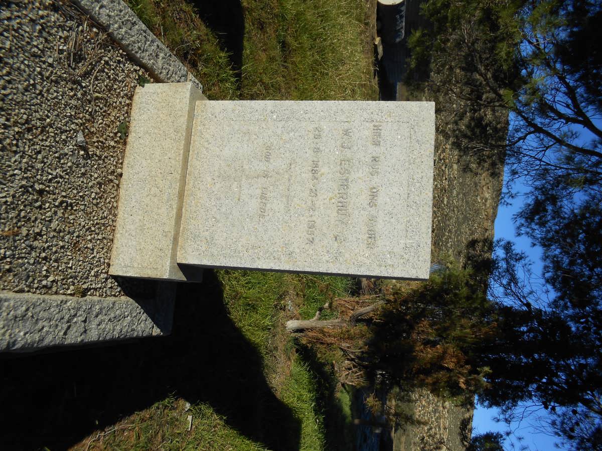 ESTERHUYSE W.J. 1884-1957