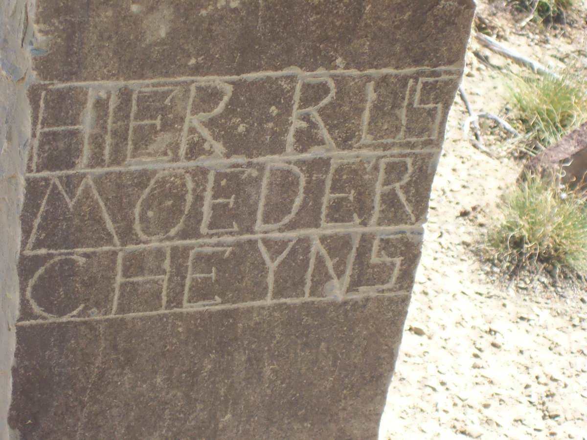 HEYNS C.