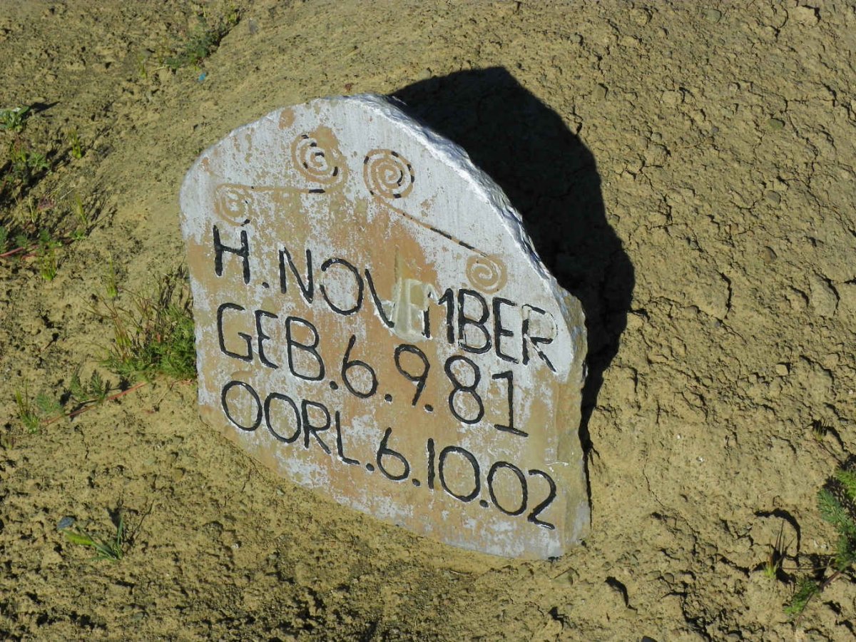 NOVEMBER H. 1981-2002