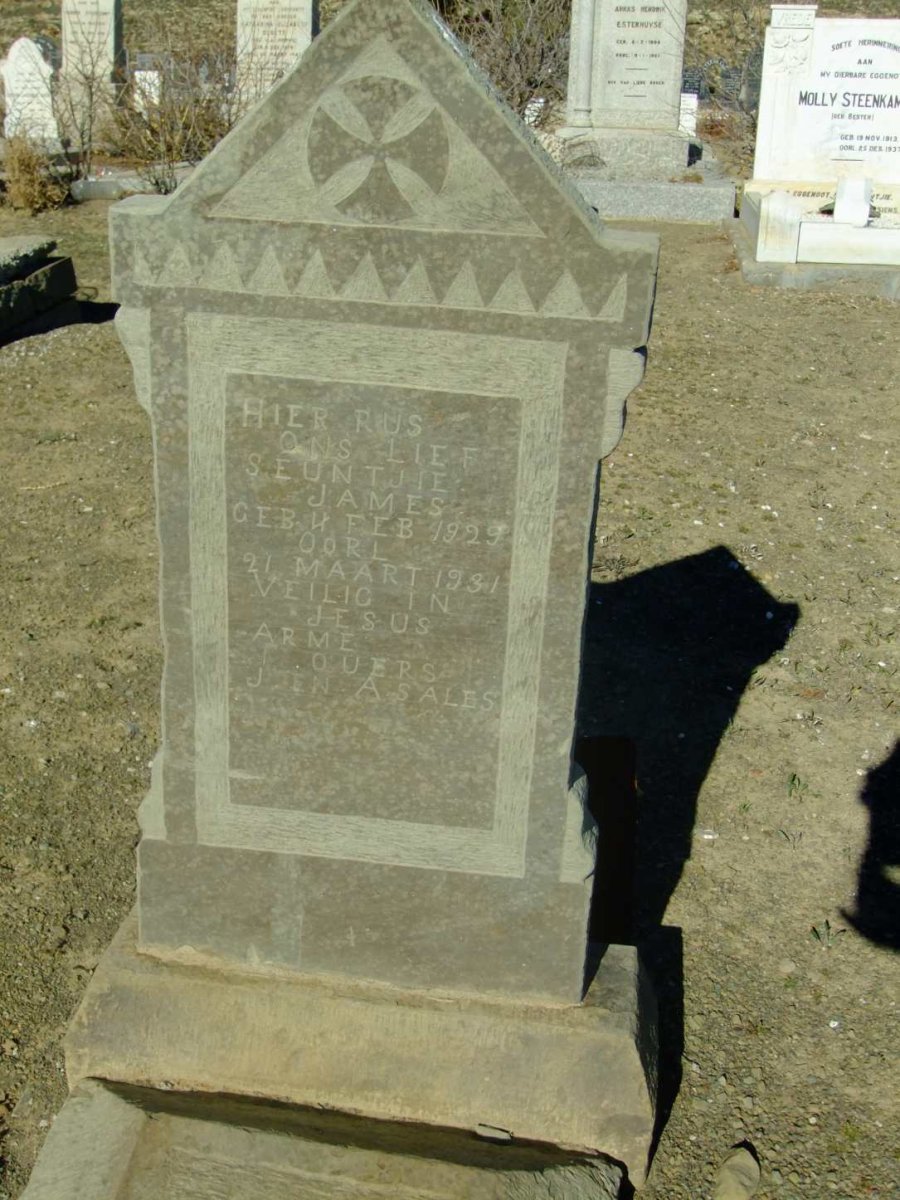 SALES James 1929-1931