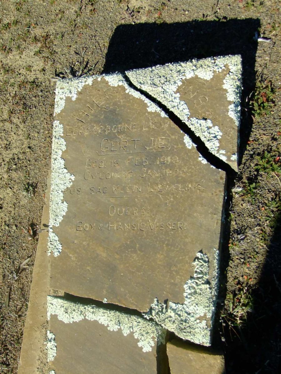 VISSER Gertjie 1919-1920