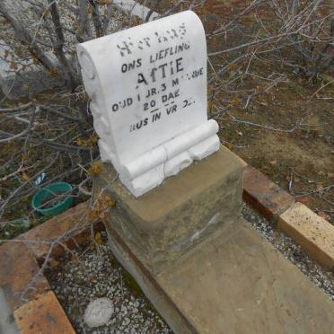 ? Attie