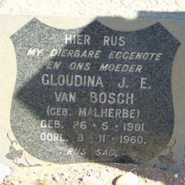 BOSCH Gloudina J.E. nee MALHERBE 1901-1960