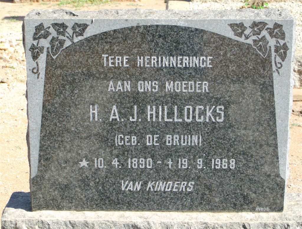 HILLOCKS H.A.J. nee DE BRUIN 1890-1968