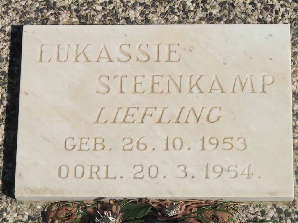 STEENKAMP Lukassie 1953-1954