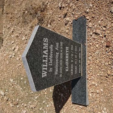 WILLIAMS Elizabeth 1965-2012