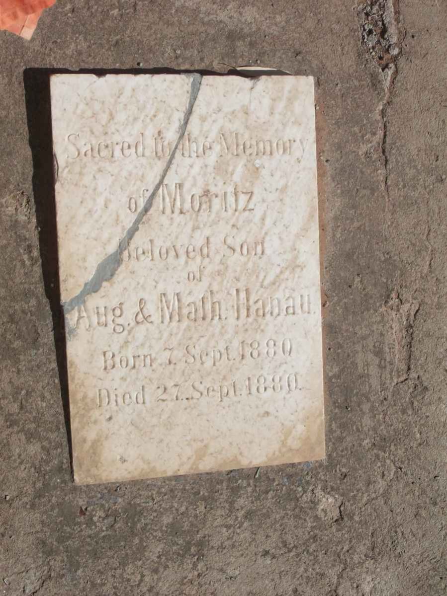 HANAU Moritz 1880-1880