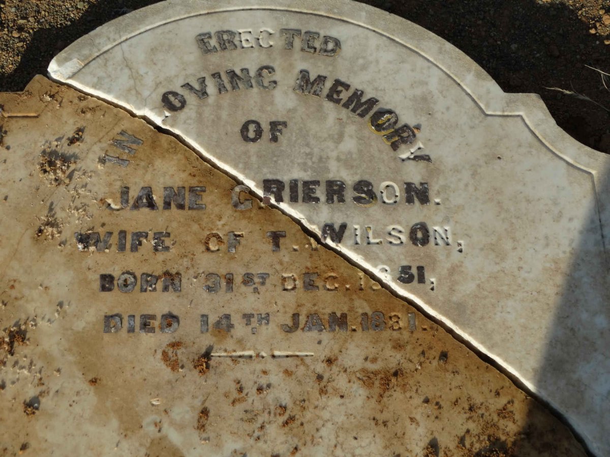 WILSON Jane nee GRIERSON 1851-1881