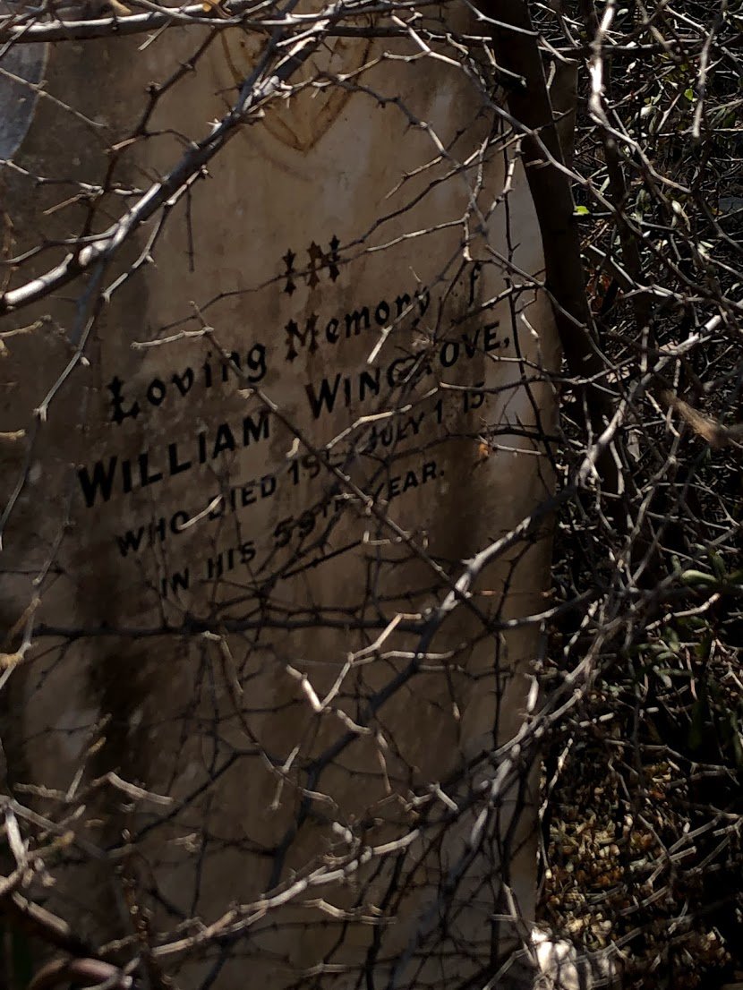 WINGROVE William -1915